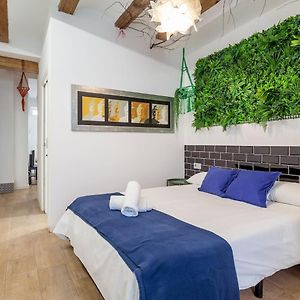 Zolderappartement met 1 Slaapkamer
